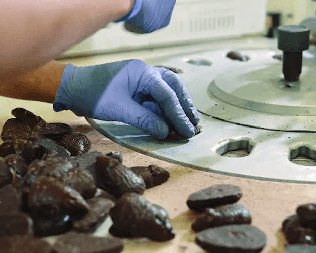 Quality Testing's thumbnail